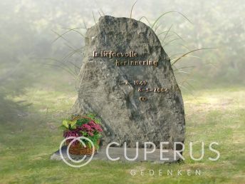 Natuurlijke ruwe grafsteen met Koperen letters