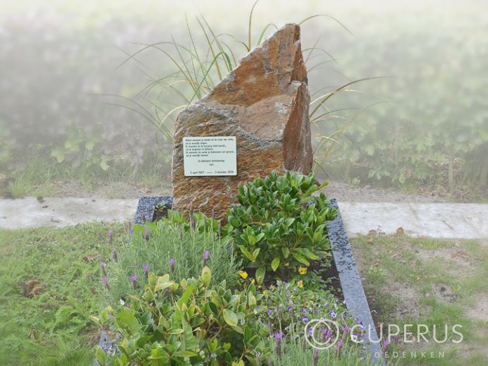 Natuurlijke ruwe grafsteen met tekstplaatje foto 1