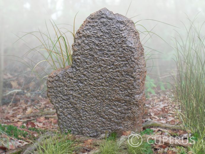 Natuurlijke ruwe grafsteen van Diabas foto 1