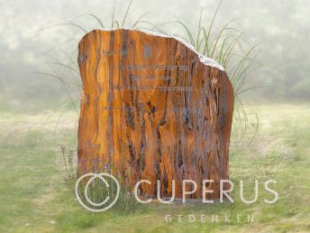 Natuurlijke ruwe grafsteen van Jaspis