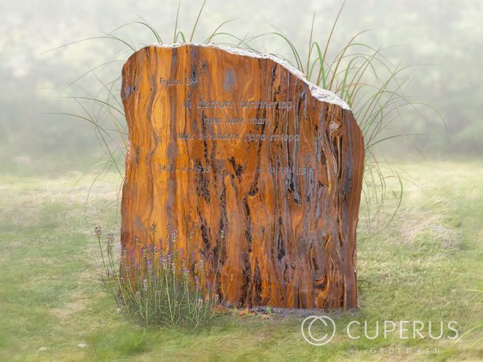 Natuurlijke ruwe grafsteen van Jaspis foto 1