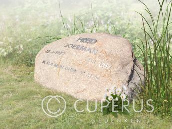 Natuurlijke ruwe zwerfkei met ijzeren letters