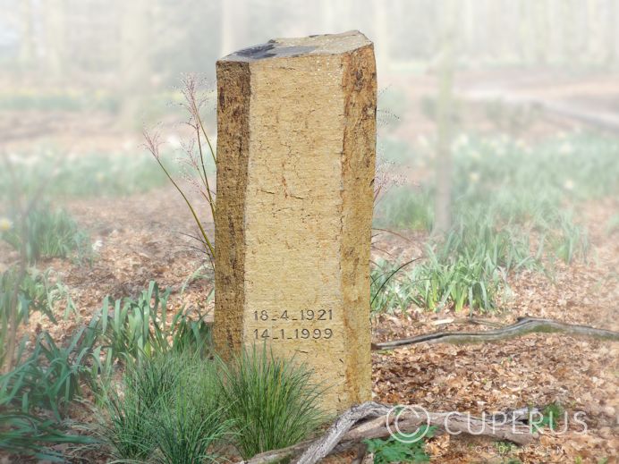 Natuurlijke stenen enkel foto 1