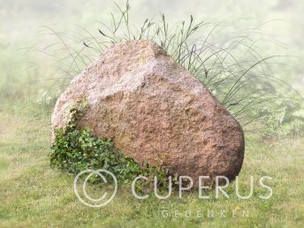 Natuurlijke zwerfkei met Bronzen letters