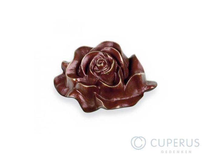 Rozen bloeien foto 1