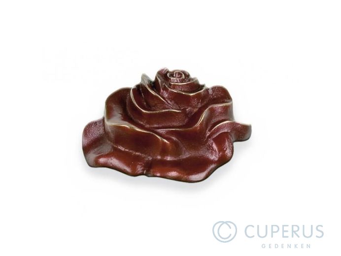 Rozen bloeien foto 1