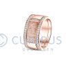 RR 004 + RR 006 Siders Goud foto 1