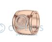RR 007F + RR 005 Siders Goud foto 1