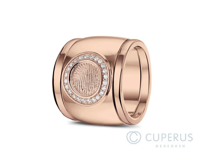 RR 007F + RR 005 Siders Goud foto 1
