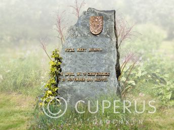 Ruwe grafsteen met Koperen letters en ornament