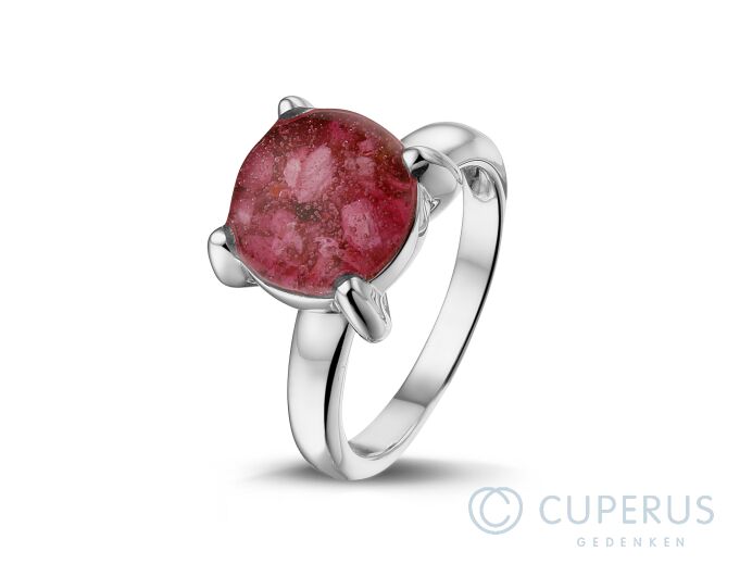 RWS 002 Zilver foto 1