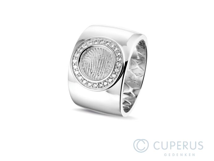 RWS 007F Zilver foto 1