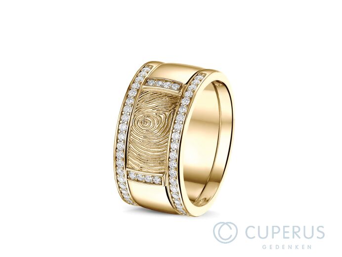 RY 004 + RY 006 Siders Goud foto 1
