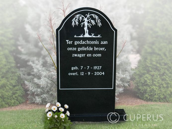 Traditioneel klasssiek enkel grafmonument foto 1