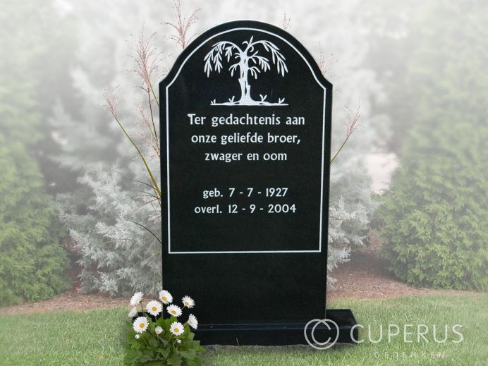 Traditioneel klasssiek enkel grafmonument  foto 1