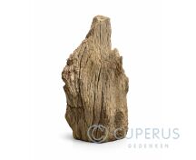 Versteend hout fossiel foto 1