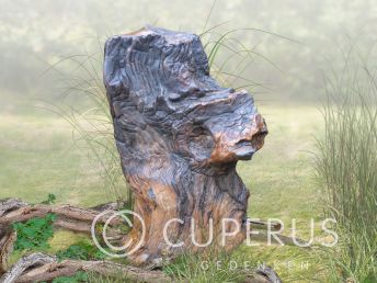 Versteend hout grafmonument