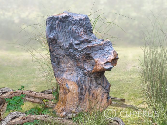 Versteend hout grafmonument foto 1