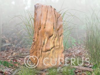 Versteend hout grafmonument