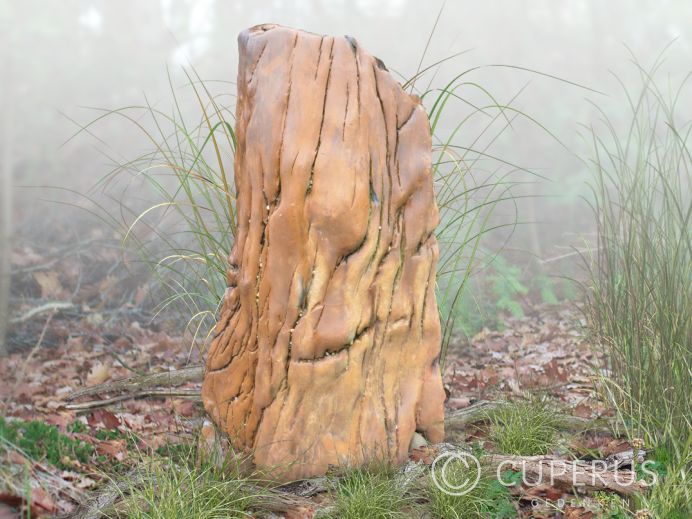 Versteend hout grafmonument foto 1