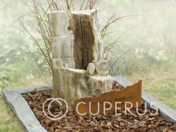 Versteend hout grafsteen met cortenstaal en leisteen omranding