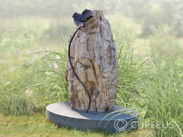 Versteend hout grafsteen foto 1