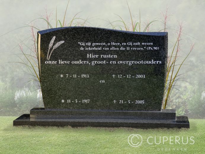 Zwart familiegraf van Impala graniet foto 1