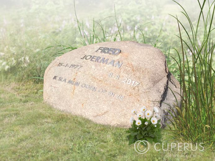 Natuurlijke ruwe zwerfkei met ijzeren letters foto 1