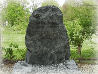 reacties van klanten