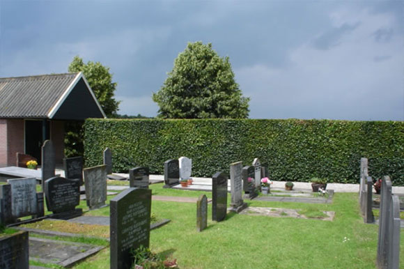 begraafplaats windesheimn